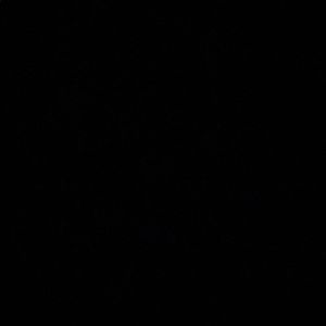 Meet your Posher, Yasmeen